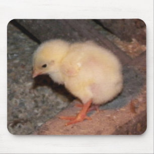 Newborn Chick Mouse Pad