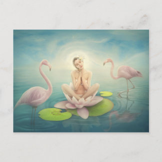 newborn fairy water lilly white light pink postcard