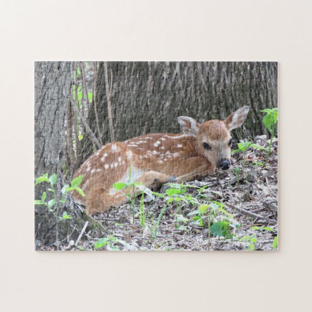 Newborn fawn puzzle (Horizontal)