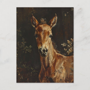 Newborn Foal Painting Postcard