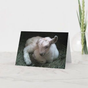 Newborn gokid greeting card