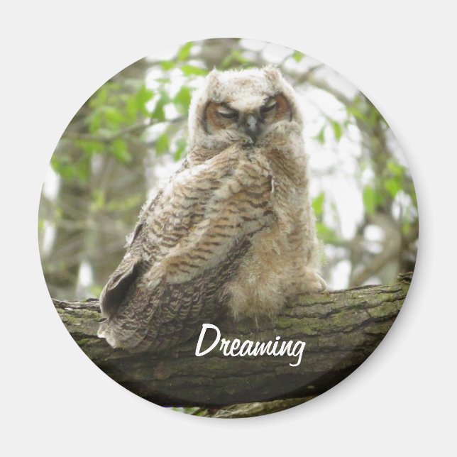 Newborn Great Horned Owl magnet (Front)