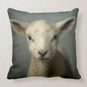 Newborn Lamb Cushion
