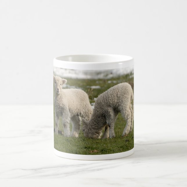 Newborn Lambs Coffee Mug (Center)