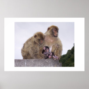 Newborn Poster