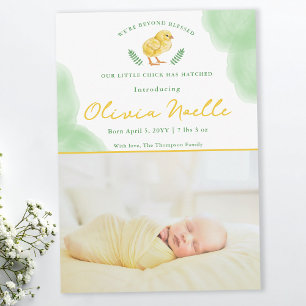 Newborn Spring Baby Photo Announcement With Chick