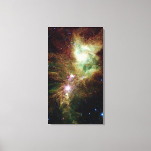Newborn stars in the Christmas Tree cluster Canvas Print