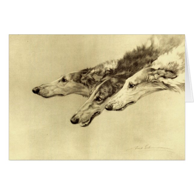 Newcastle Borzoi (Front Horizontal)
