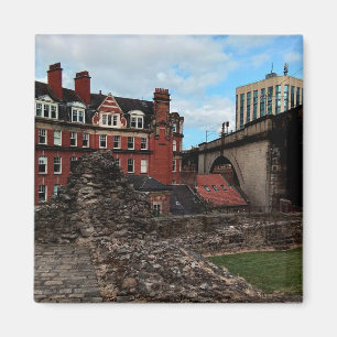 Newcastle buildings magnet