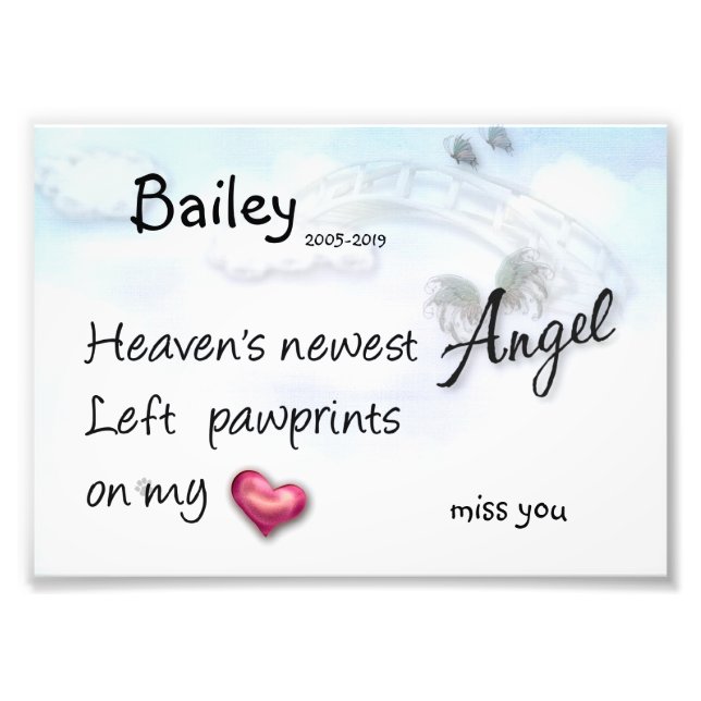 Newest Angel left paw prints on my heart print (Front)