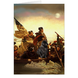 Newfie 1 - Washington Crossing.....