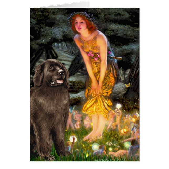 Newfie (brown) - MidEve (Front)