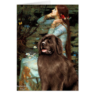 Newfie (brown) - Ophelia Seated