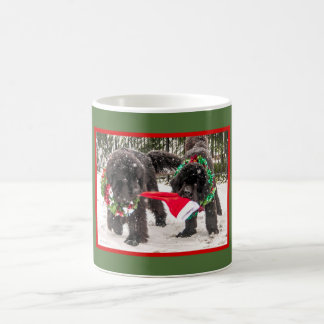 Newfie Holiday Sharing A Cup Of Joy
