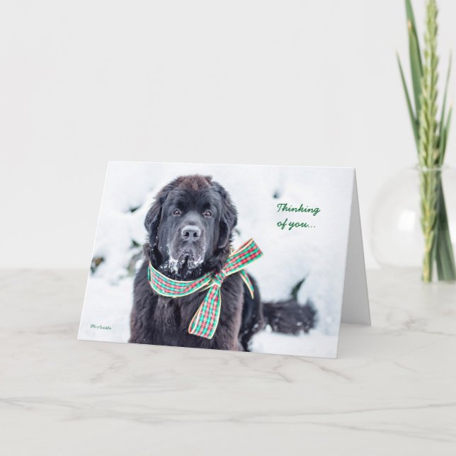 Newfie Holiday Wishes for You (Front)