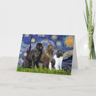 Newfie Trio - Starry Night Card