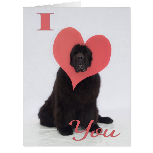 Newfie Valentine (Front)