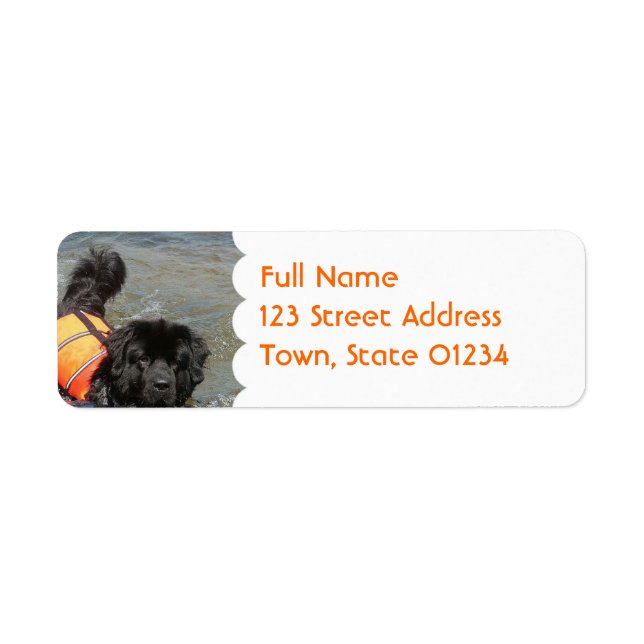 Newfie Water Rescue  Mailing Label (Front)