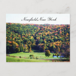 NEWFIELD NEW YORK postcard