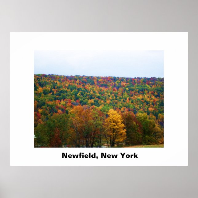 NEWFIELD NEW YORK poster (Front)