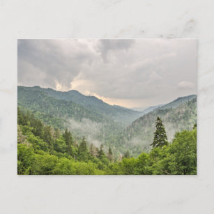 Newfound Gap, Great Smoky Mountains National Park Postcard