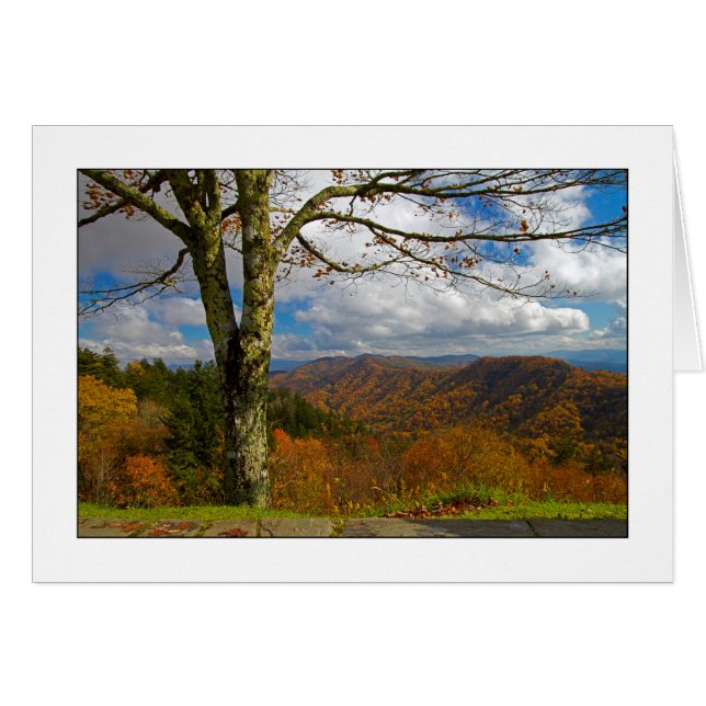 Newfound Gap Overlook (Front Horizontal)