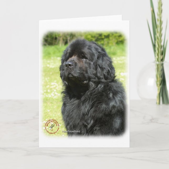 Newfoundland 9T086D-067_2 Card (Front)