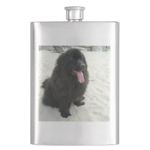 newfoundland black at the beach hip flask