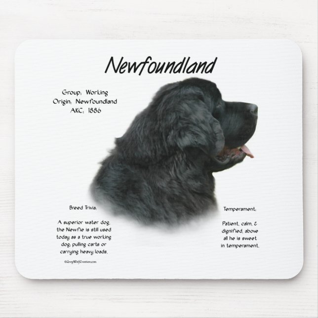 Newfoundland (Black) History Design Mouse Pad (Front)