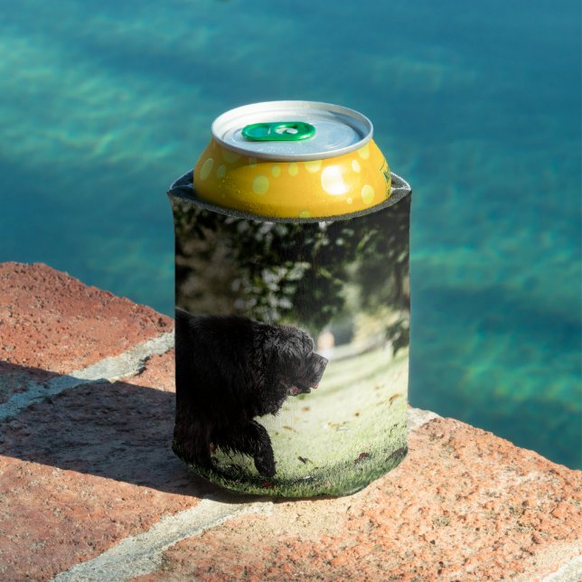 newfoundland black in motion can cooler (In Situ Pool)