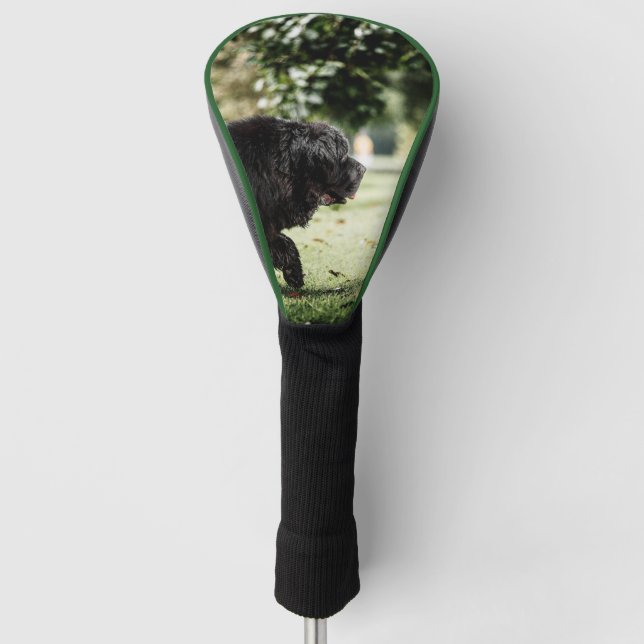 newfoundland black in motion golf head cover (Front)