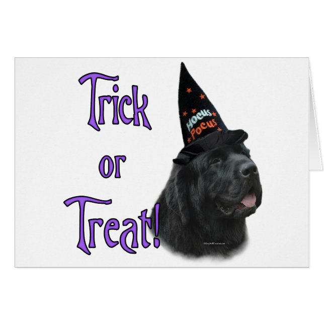 Newfoundland (black) Trick (Front Horizontal)