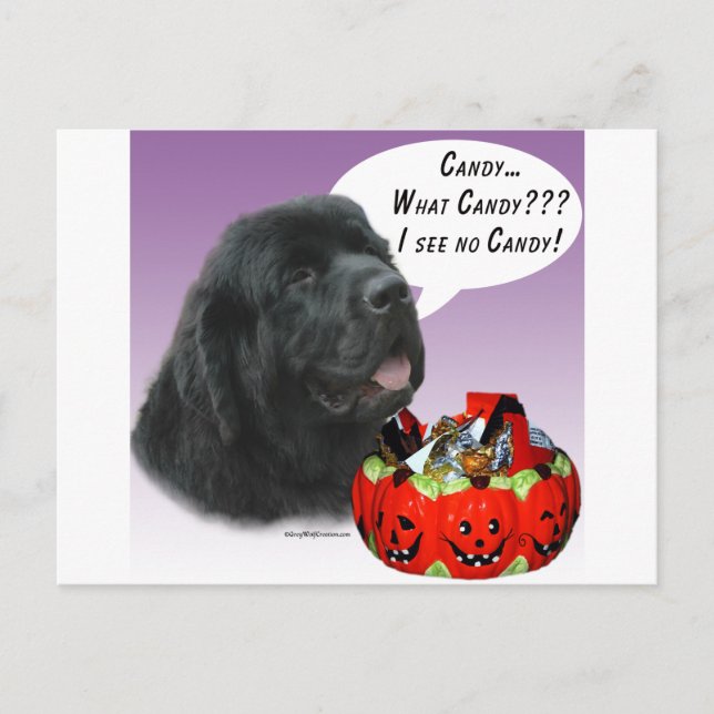 Newfoundland (blk) Halloween Candy Postcard (Front)