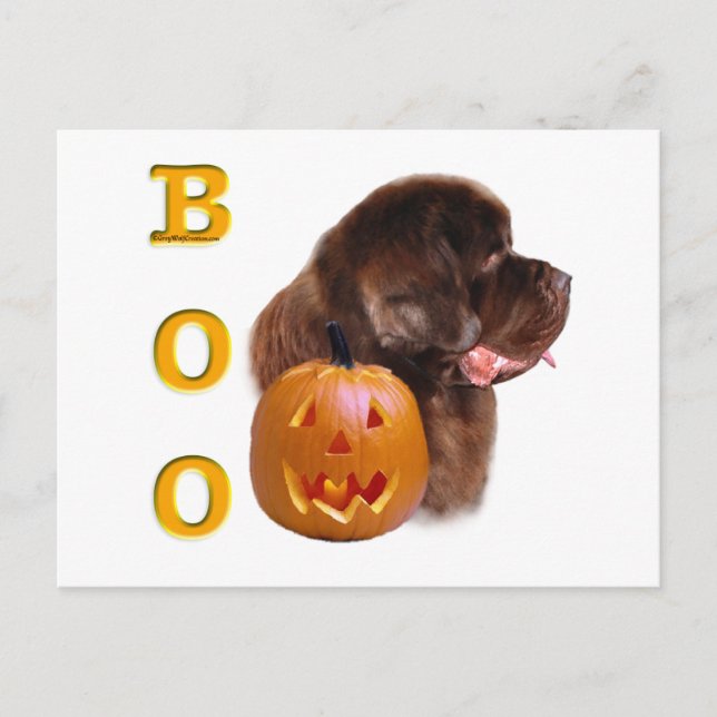 Newfoundland (brn) Halloween Boo Postcard (Front)