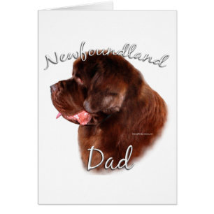 Newfoundland (brown) Dad 2