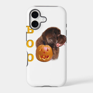 Newfoundland Brown Halloween BOO