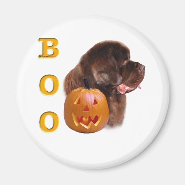 Newfoundland Brown Halloween BOO Magnet (Front)