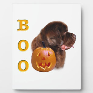 Newfoundland Brown Halloween BOO Plaque