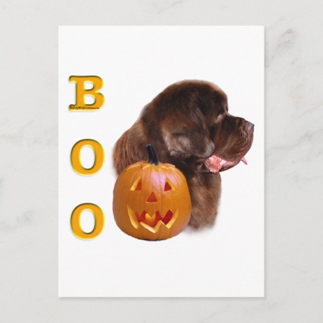 Newfoundland Brown Halloween BOO Postcard (Front)