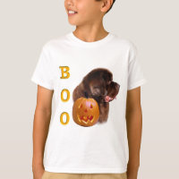 Newfoundland Brown Halloween BOO