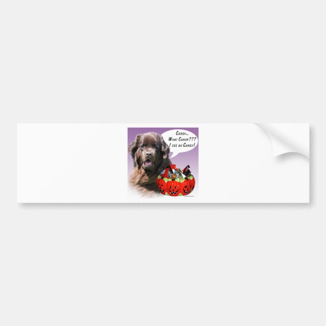 Newfoundland (brown) Halloween Candy Bumper Sticker (Front)