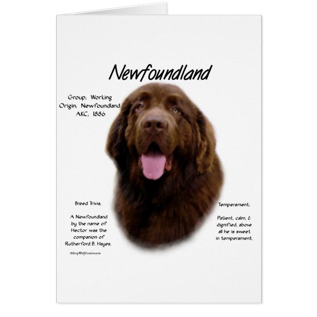 Newfoundland (Brown) History Design (Front)