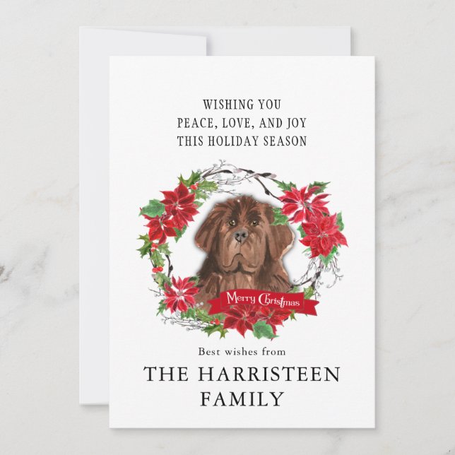 Newfoundland brown Watercolor Poinsettia Christmas Holiday Card (Front)