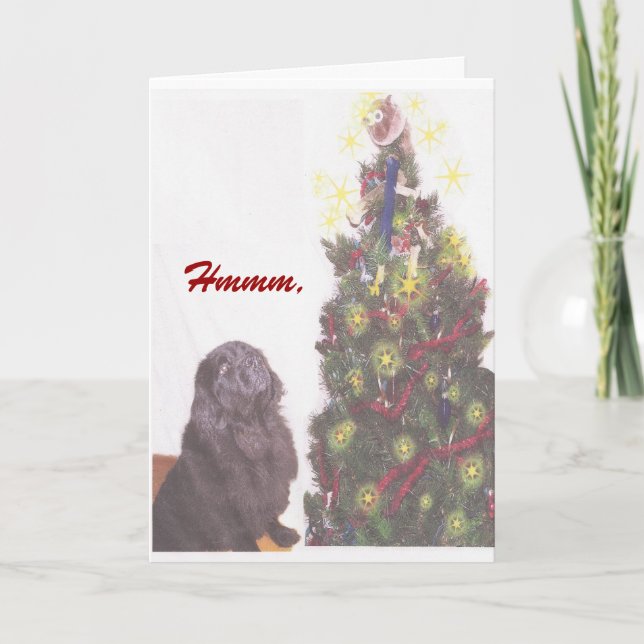 Newfoundland Christmas Card (Front)