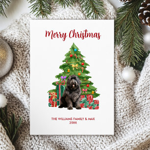 Newfoundland Christmas Card