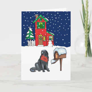 Newfoundland Christmas Holiday Card