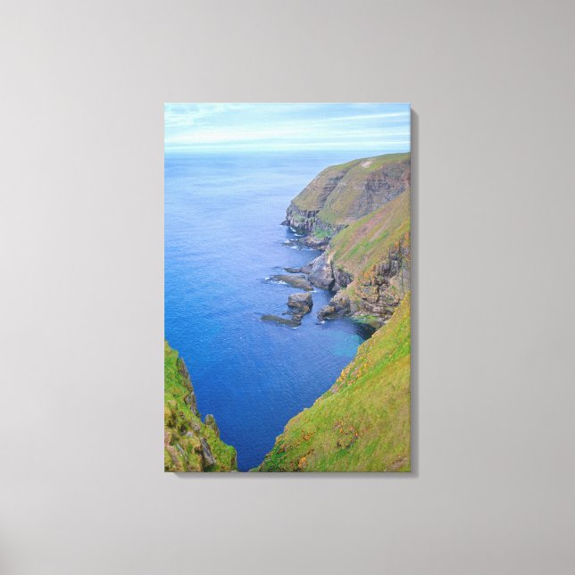 Newfoundland Coastline Canvas Print (Front)