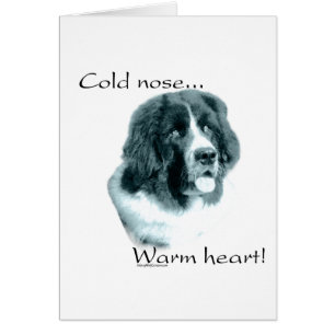 Newfoundland Cold Nose Warm Heart