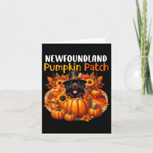 Newfoundland Cute Patch Thanksgiving Pumpkins Fall Card