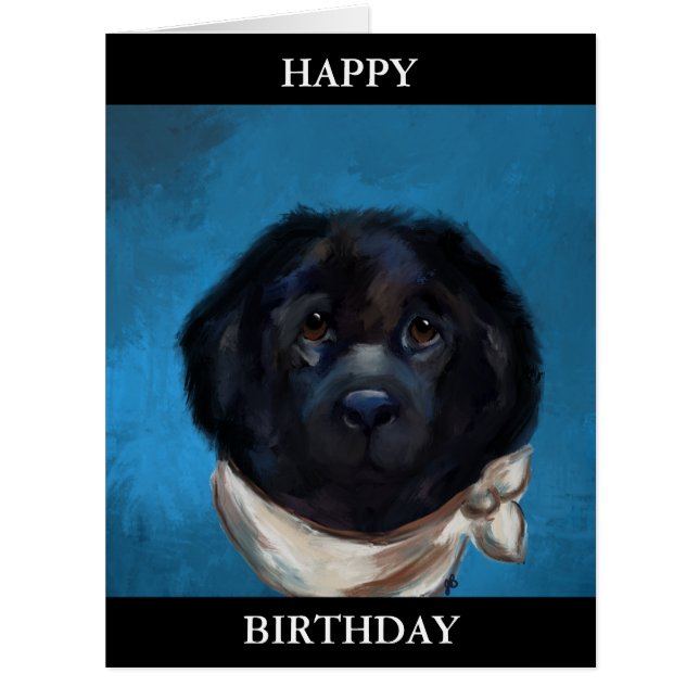 Newfoundland Dog                 (Front)